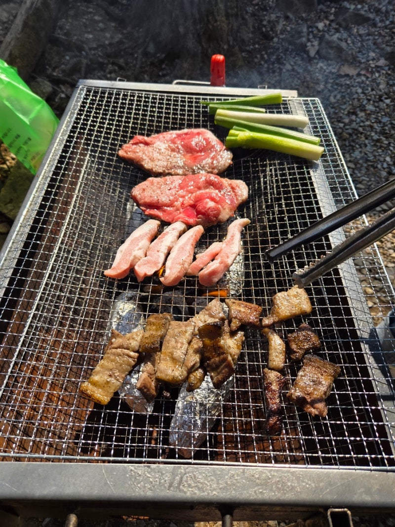 서울대공원 캠핑장 피크닉 바베큐 후기 (예약방법, 가격, 주차, 카트, 자리추천)