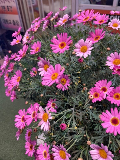 사진 5