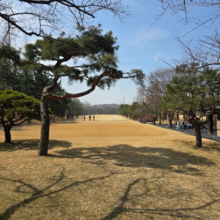  주차장 만차를 보니 이제 골프 시즌인가보다 인천국제CC