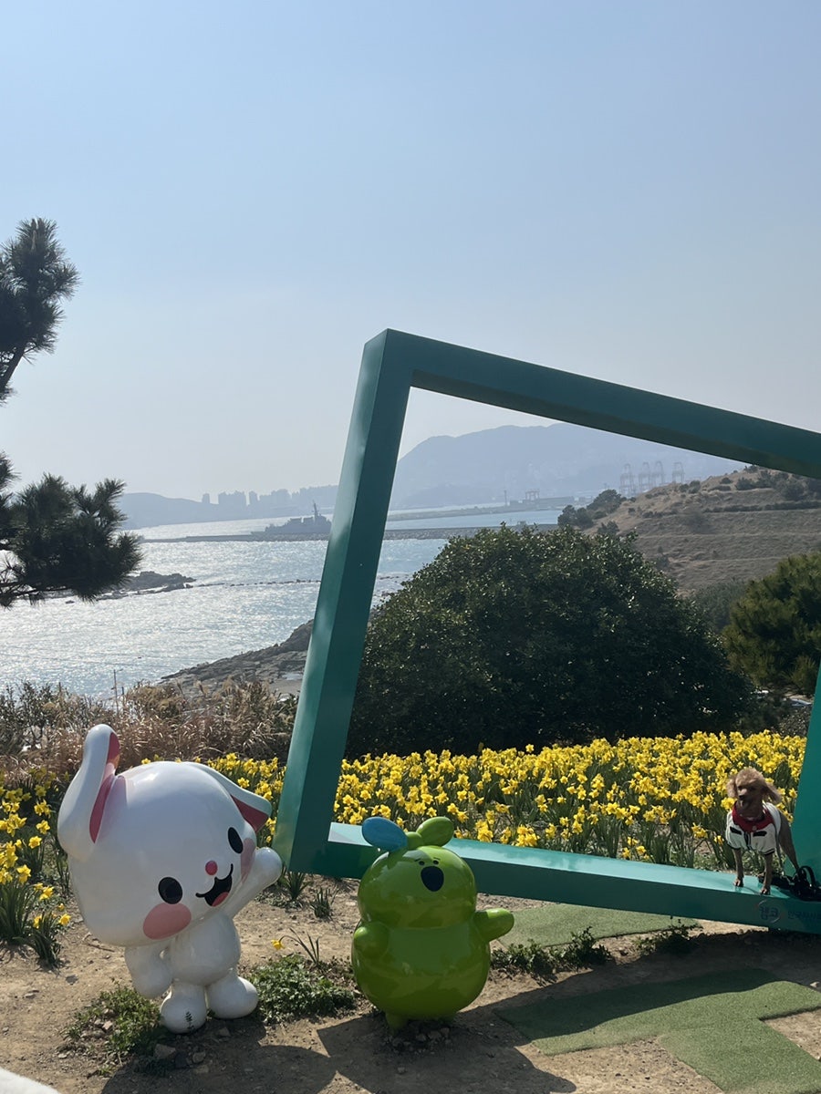 버드나무집 사진 4