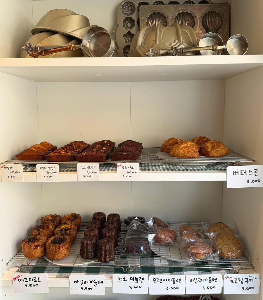 달밀 사진 5