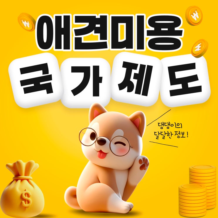  애견미용학원 국비내일배움카드·국민취업지원제도 총정리
