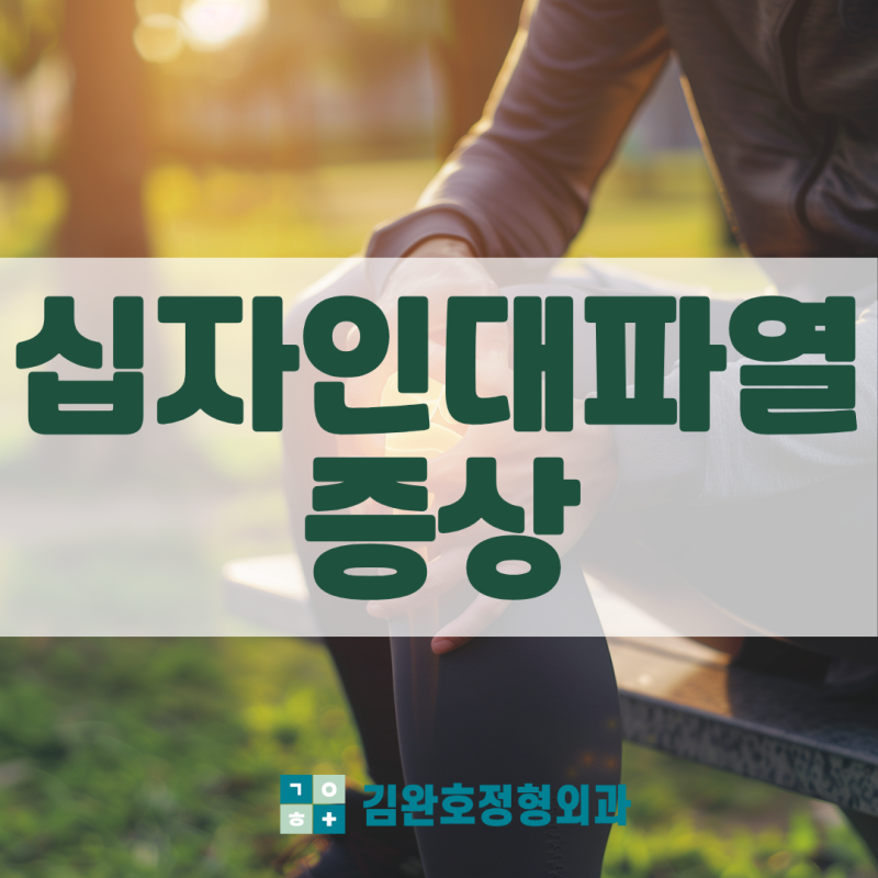 십자인대 파열 증상 무릎 치료 회복기간 재활 방법은?