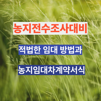 농지 전수조사 대비 적법하게 임대하는 법, 임대차계약서식
