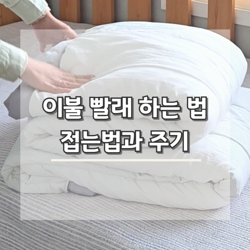 똑똑한 사람의 이불 빨래하는법 접는법 주기와 드럼세탁법
