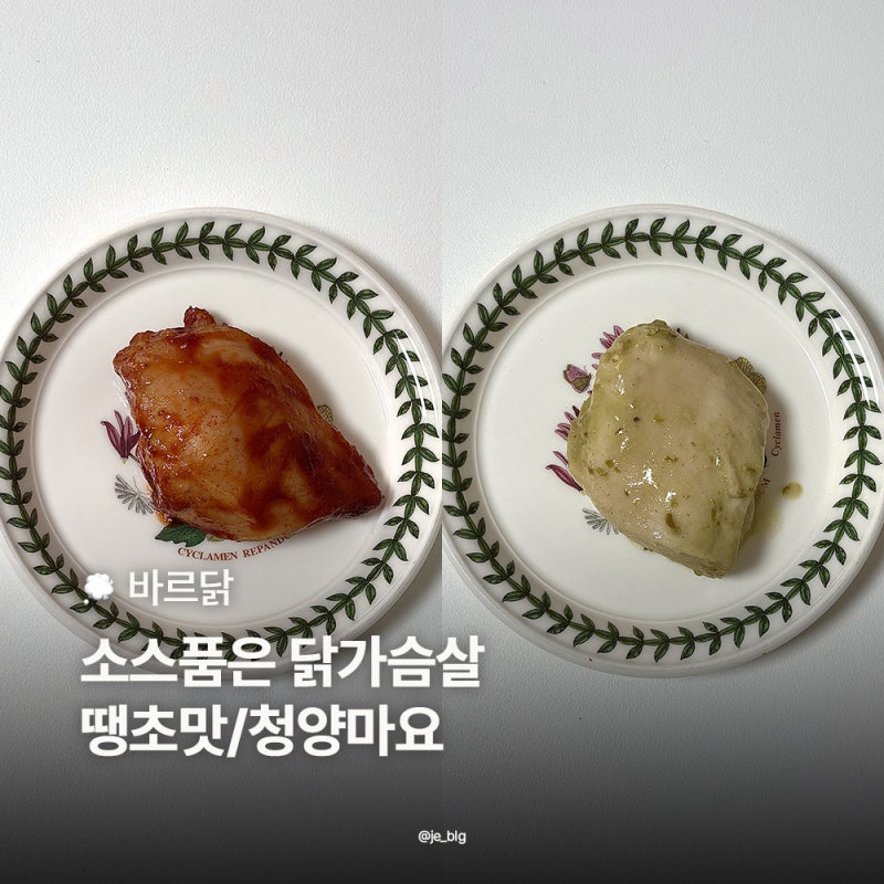 맛있는 닭가슴살 추천 바르닭 소스품은 닭가슴살 땡초맛 청양마요 후기