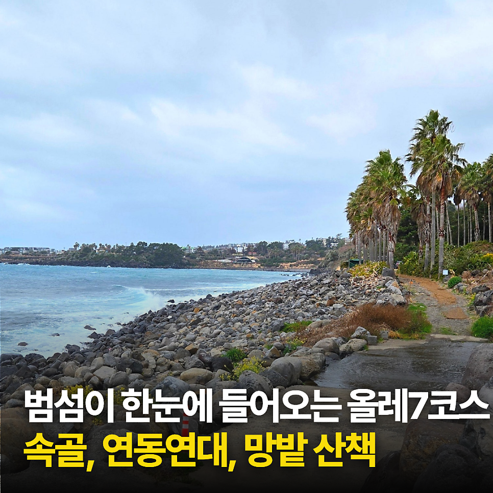 망밭 사진 1
