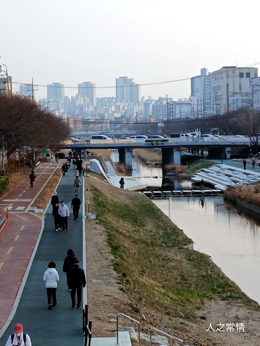 서부청기와감자탕 불광역점 사진 3