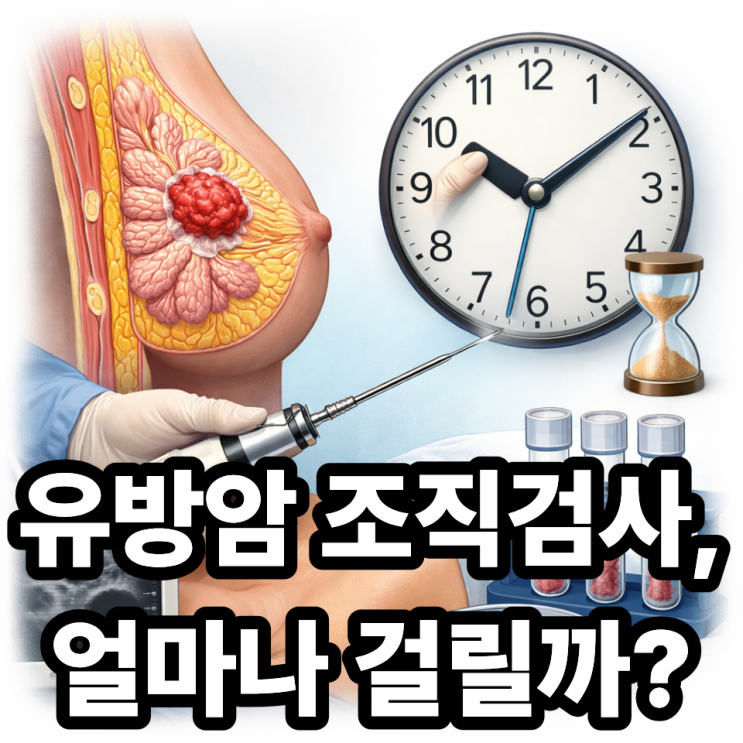  유방암 조직검사 과정과 소요 시간 총정리 (통증·결과 기간까지)