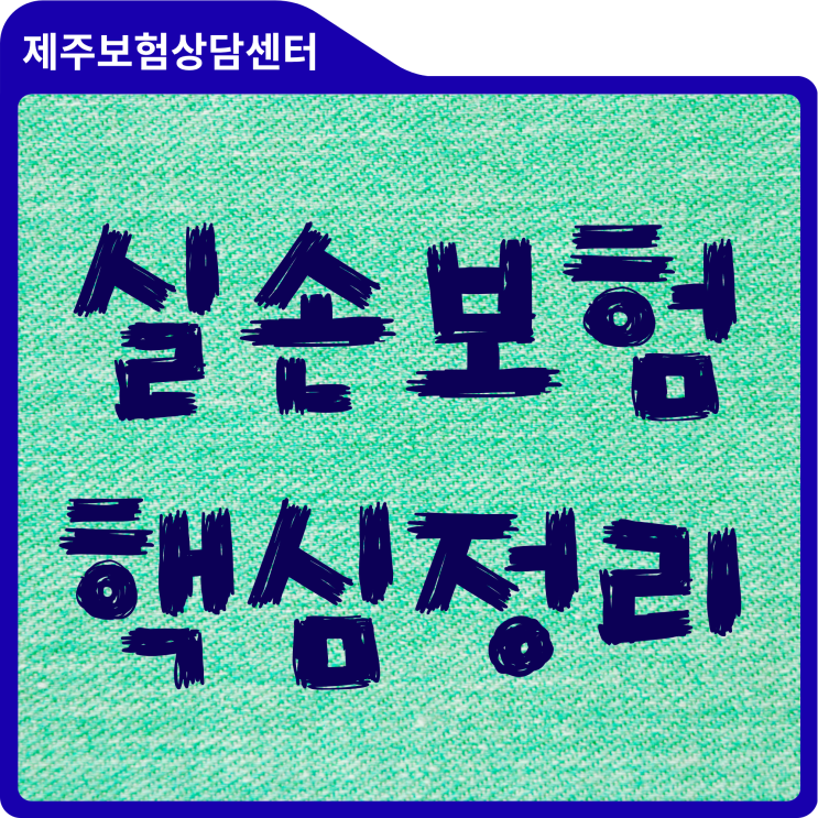  실손보험 사용설명서