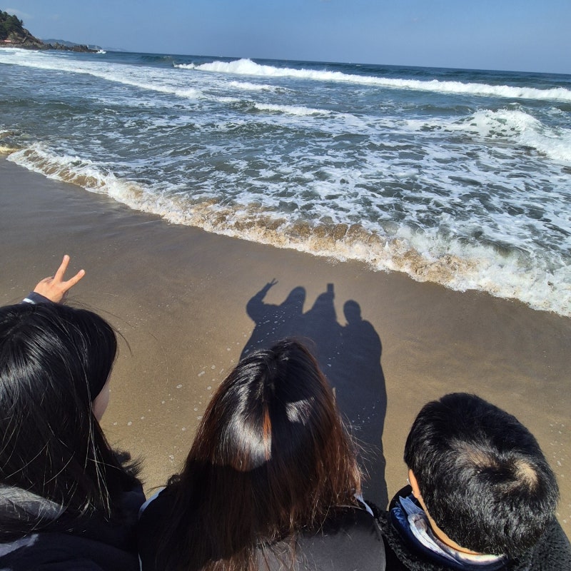 사진 4