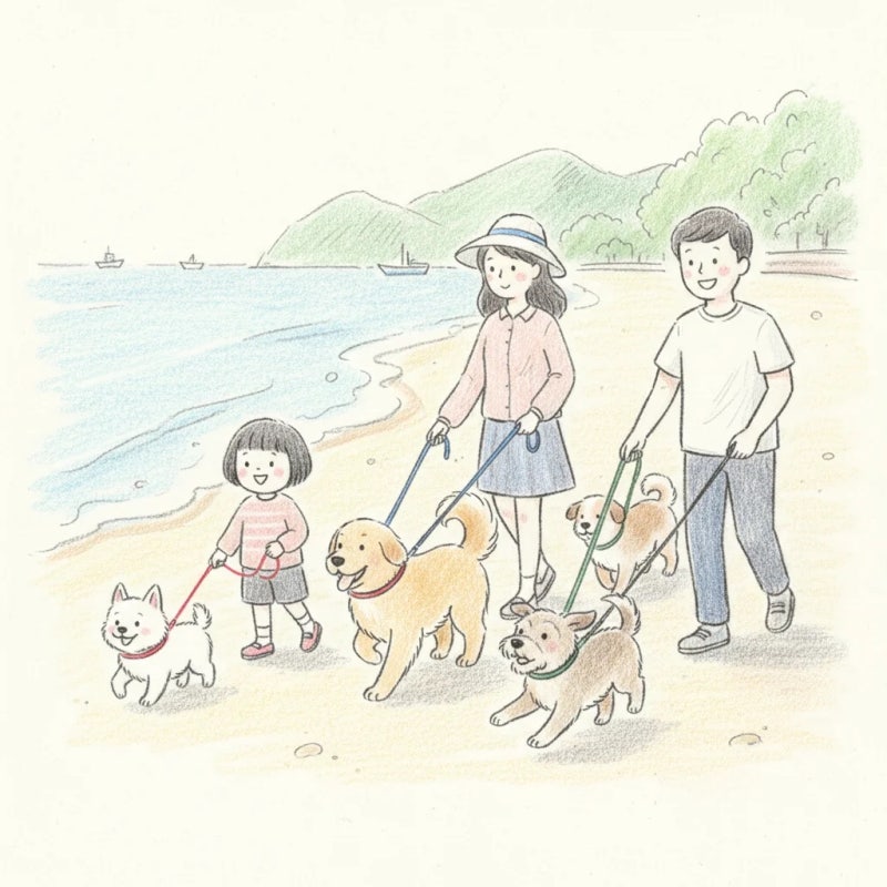 사진 4
