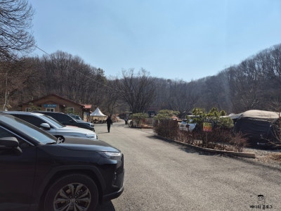 사진 5
