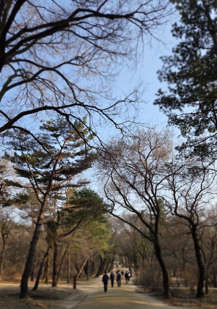  고양 서오릉 산책 후기 | 서울 근교 가족 나들이·데이트 모두 추천