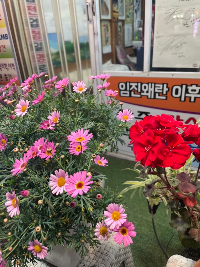사진 4