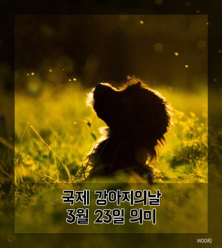  국제 강아지의날 3월 23일 의미와 유래