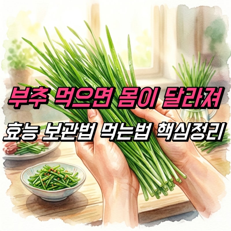 부추 효능 제철 보관법 먹는법, 이렇게 먹어야