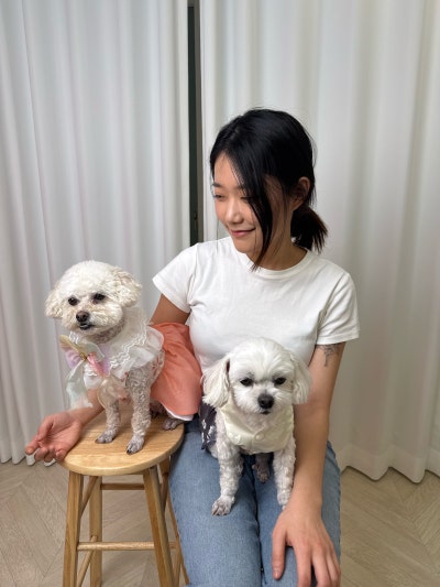 사진 2