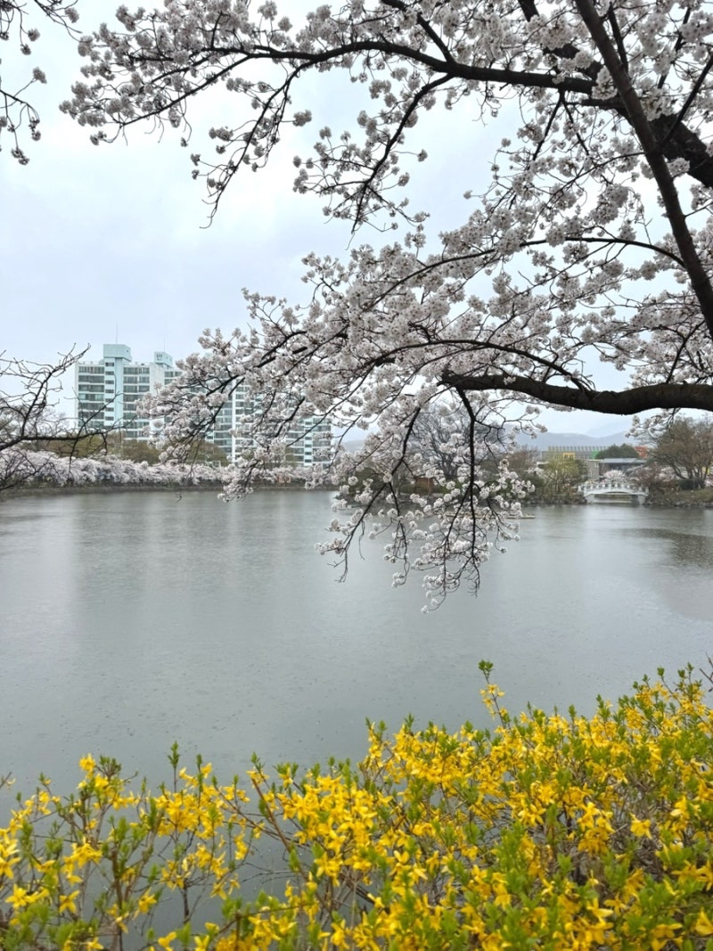 사진 4