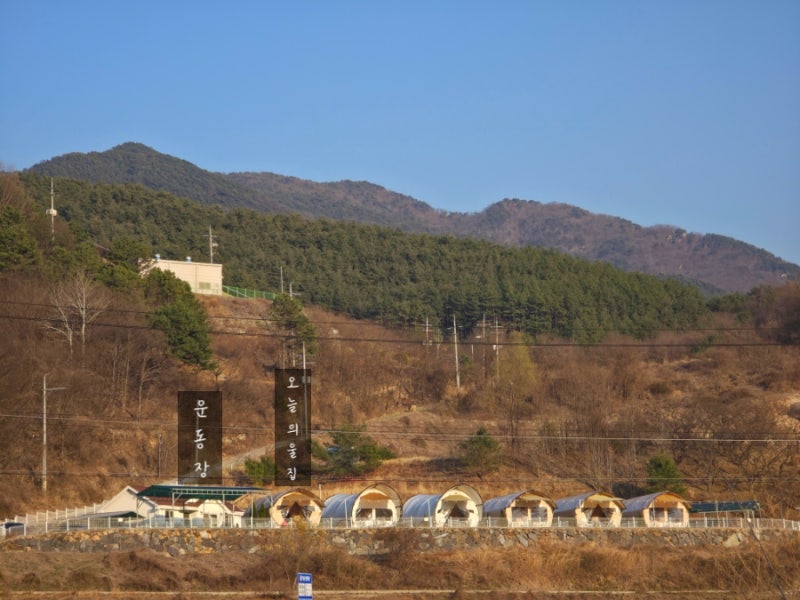 사진 2