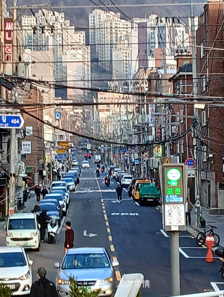 서부청기와감자탕 불광역점 사진 5