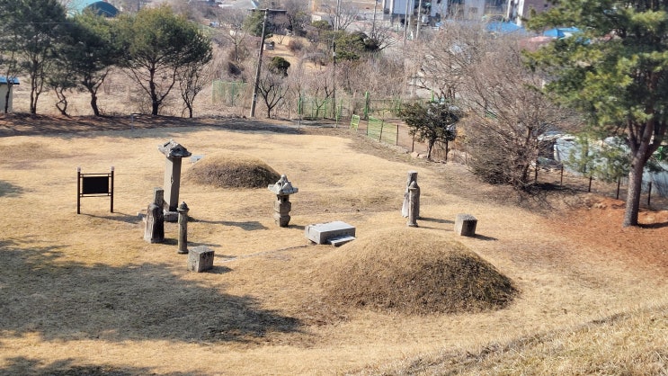  [경기 고양] 대자동 왕실 묘역 답사(3) - 경안군과 임창군 묘, 병자호란의 비극 소현세자와 후손들