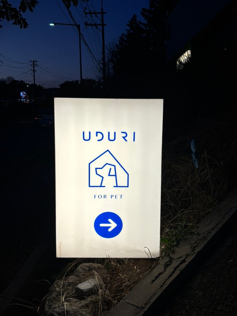 사진 5