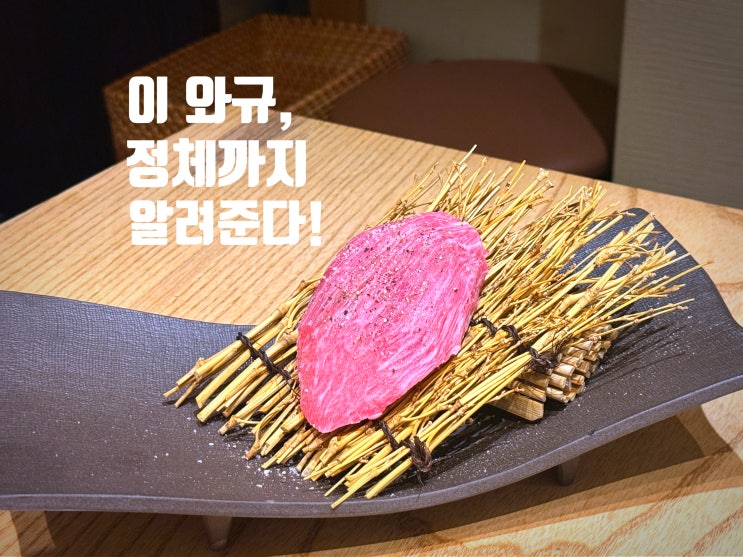  오사카 와규 맛집, 소의 성별·나이까지 공개하는 난바 야키니쿠 (도톤보리 옆)