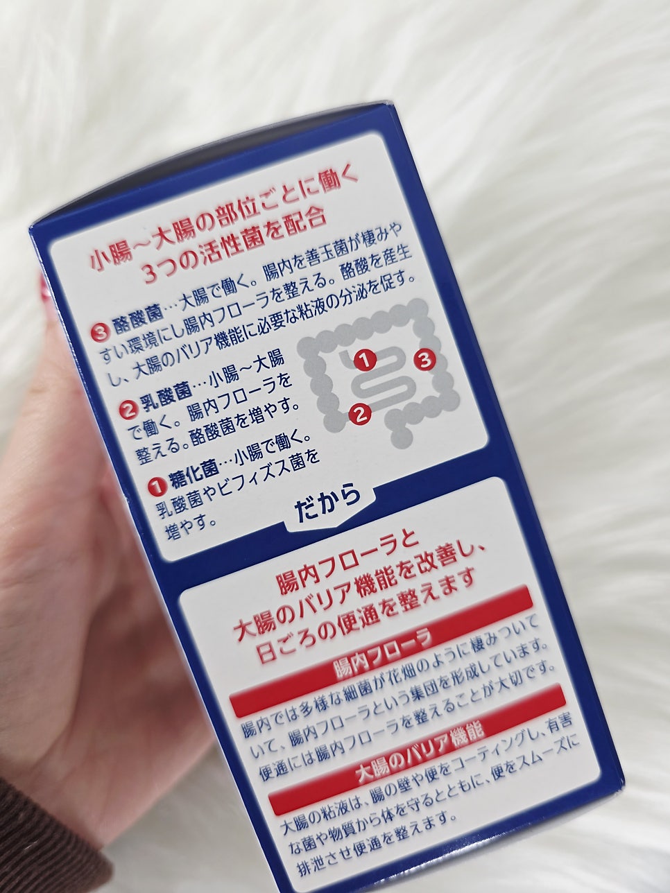 일본 도쿄 돈키호테 쇼핑리스트 추천 시부야 메가 돈키 할인쿠폰