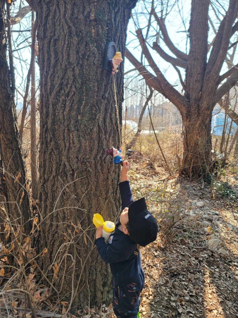 인천유아숲체험원/아라유아숲체험원/부모동행수업
