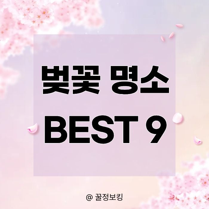  2026년 벚꽃놀이 개화시기, 놓치면 후회하는 벚꽃 명소 BEST 9)(+벚꽃놀이 룩, 패션, 코디 추천)