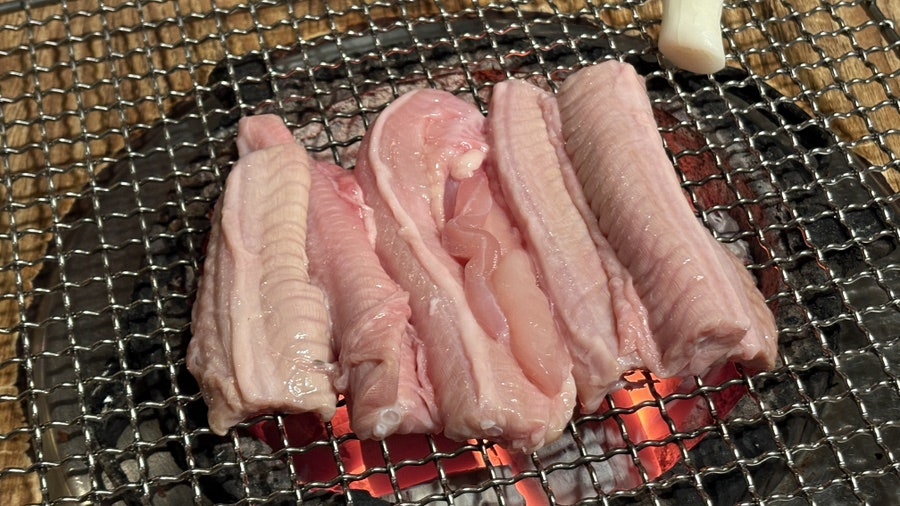 왕꼼장어 사진 3