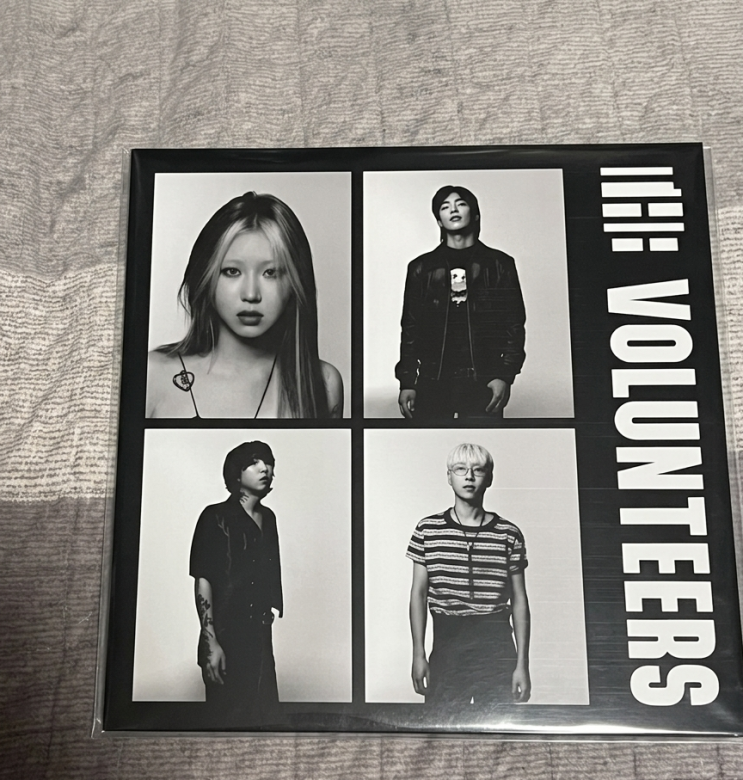  더발룬티어스 The Volunteers [LP]
