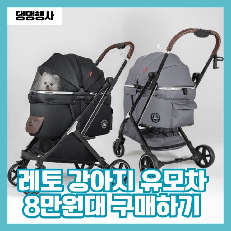  2026 국제 강아지의 날 행사 레토 강아지 유모차 행사