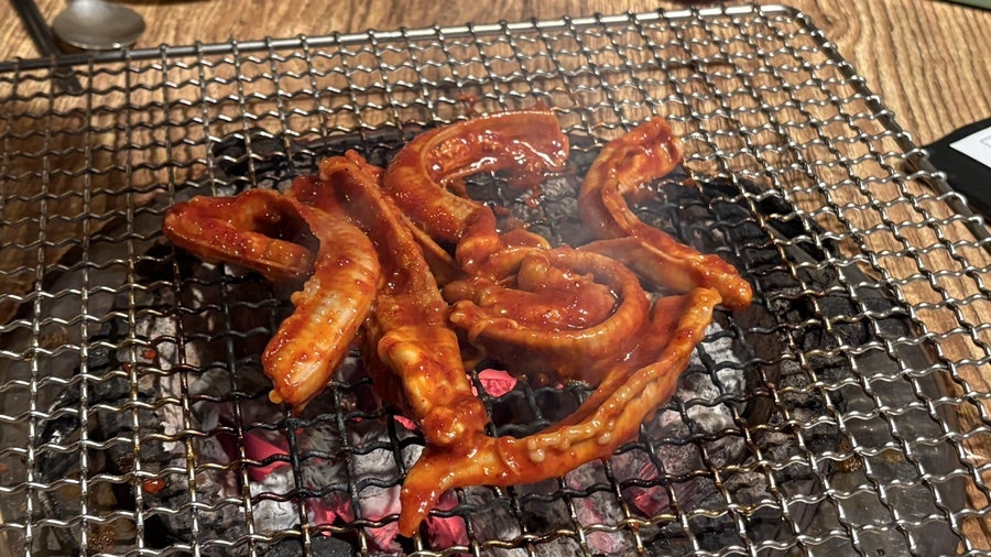 왕꼼장어 사진 5