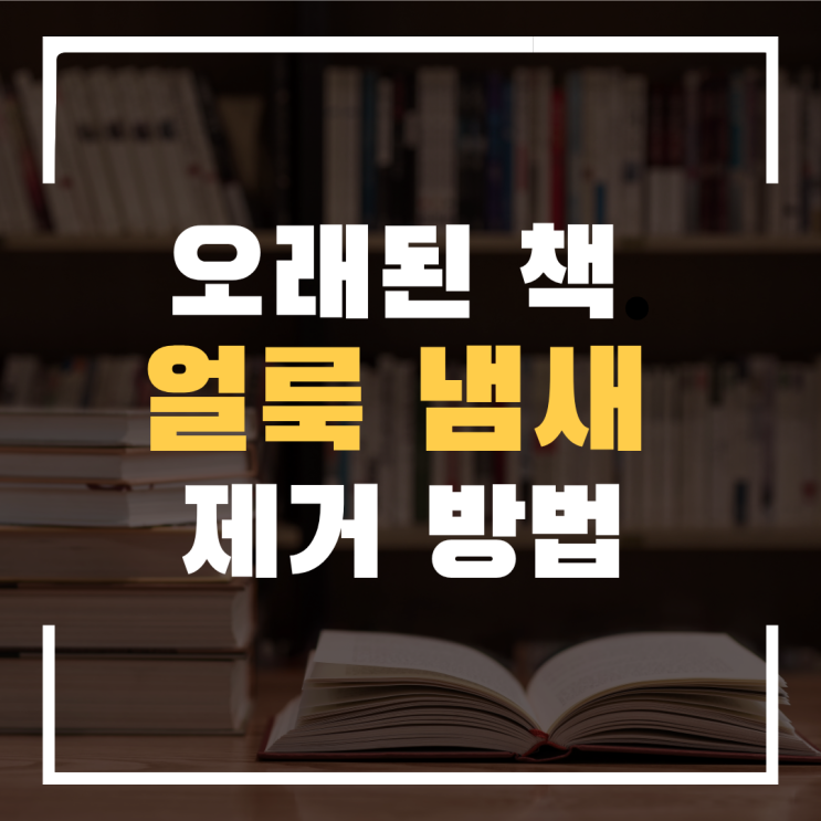  오래된 책 얼룩 냄새 제거 방법 (실제로 효과 본 꿀팁)