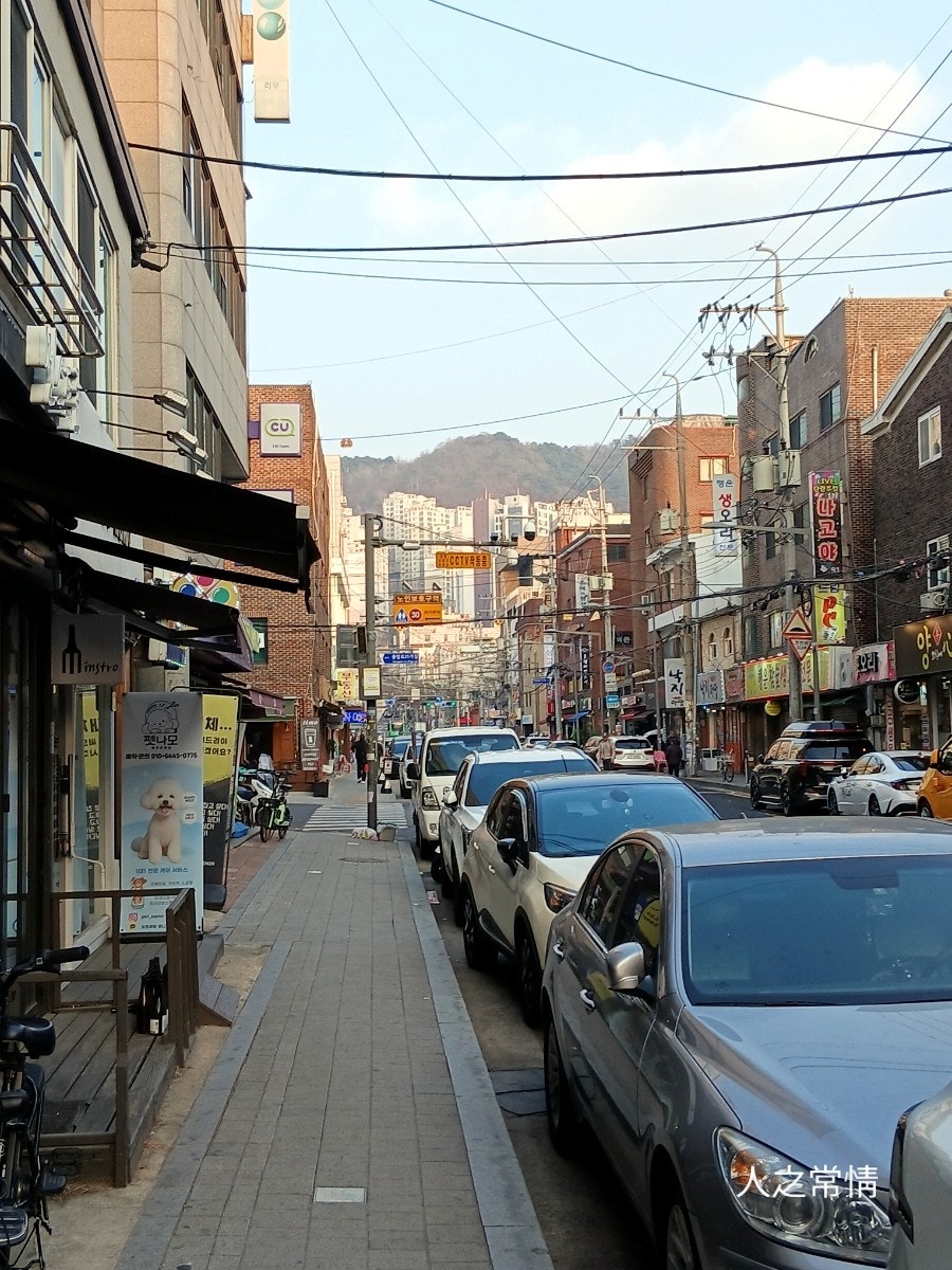 서부청기와감자탕 불광역점 사진 6