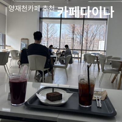 양재천카페 카페다이나 데이트 후기