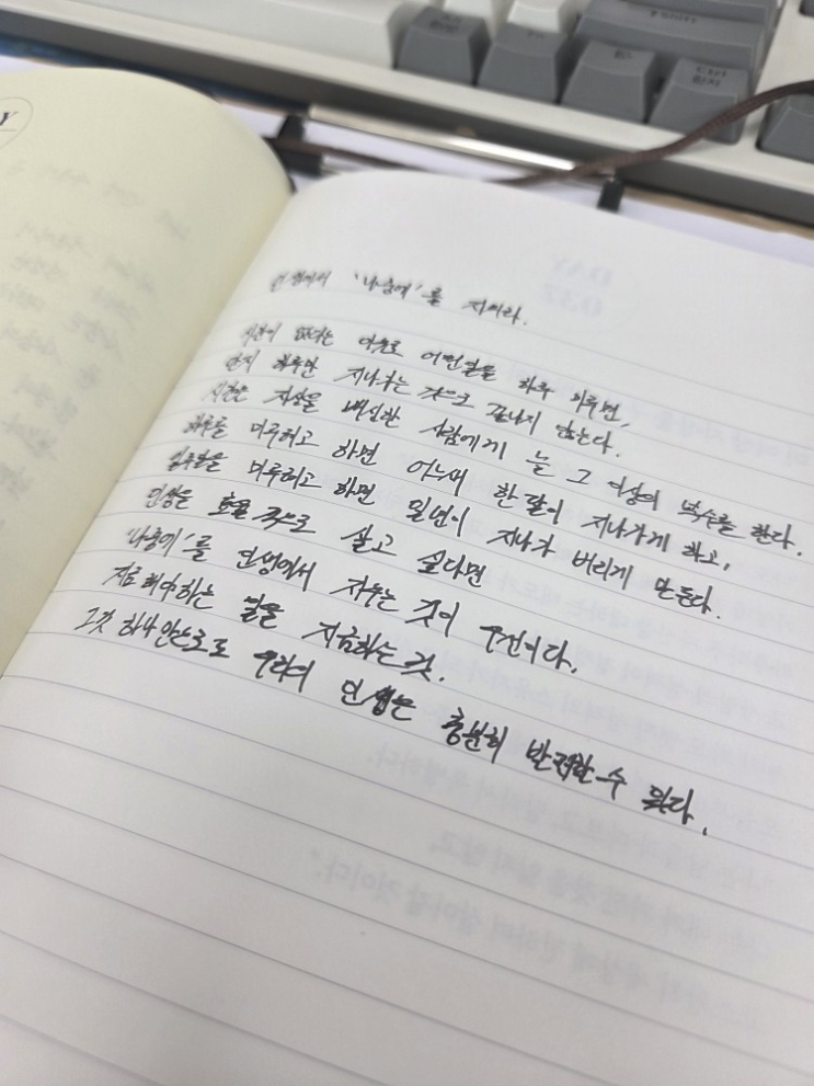  [100일 필사노트] 인생에서 '나중에'를 지워라.