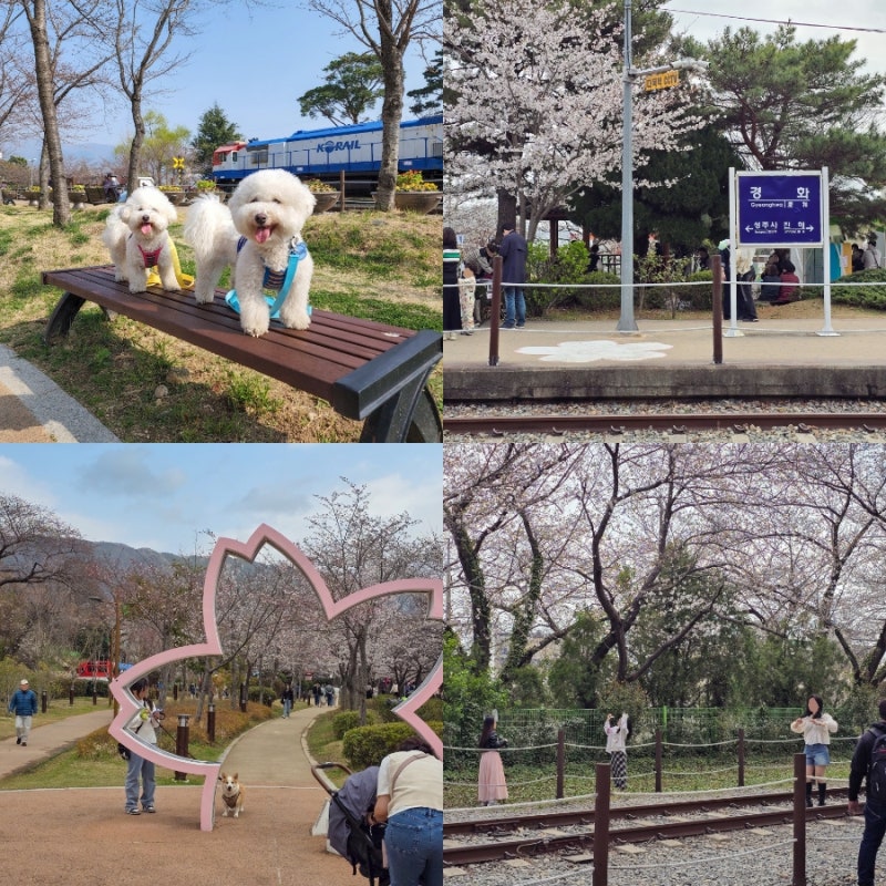 사진 3