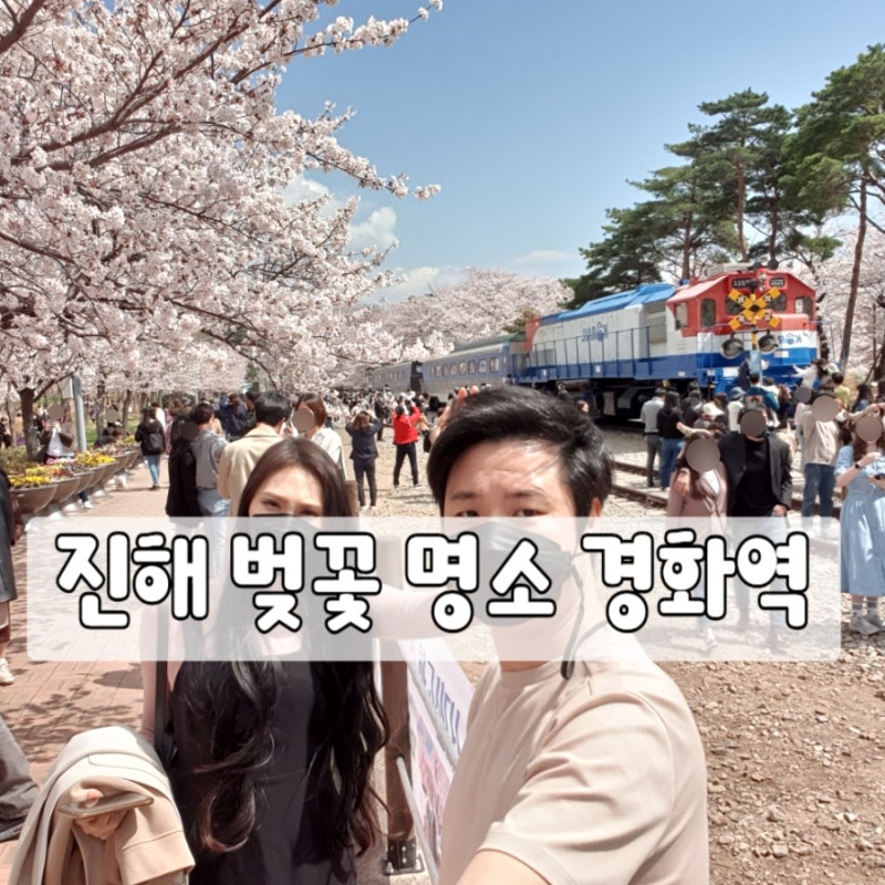 진해 경화역 벚꽃길 | 진해군항제 벚꽃 명소 기차길 벚꽃 포토존