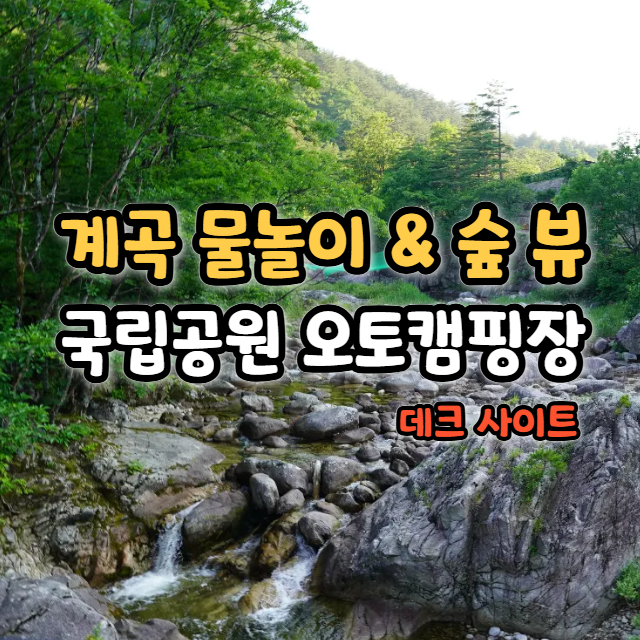  오대산 소금강산 야영장 사이트 리뷰 이용 및 예약 방법