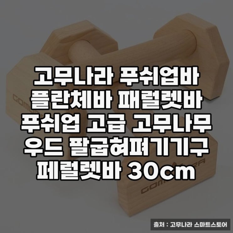  고무나라 푸쉬업바로 쉽고 안전하게 운동하기