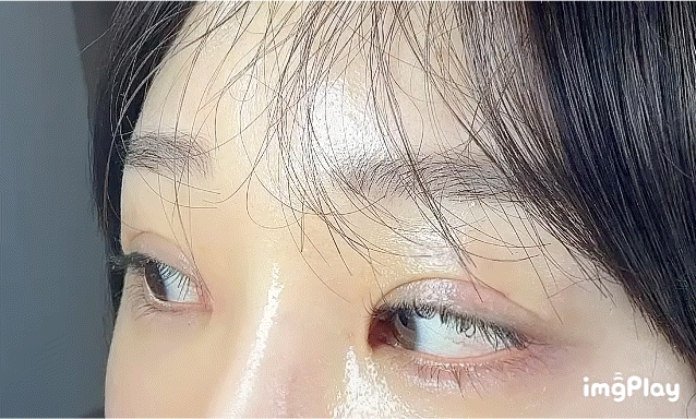 속눈썹영양제 추천 :: 에보아이 10통째 구입한 내돈내산 후기!