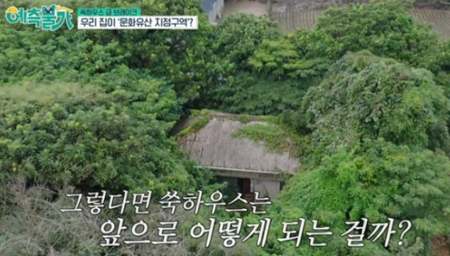  김숙 제주도 집, 국가 유산 규제 완화된다?