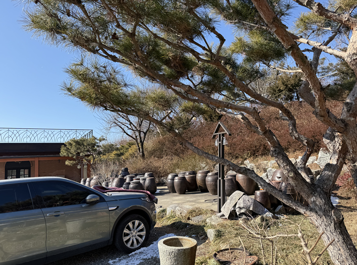 매실농원 사진 4