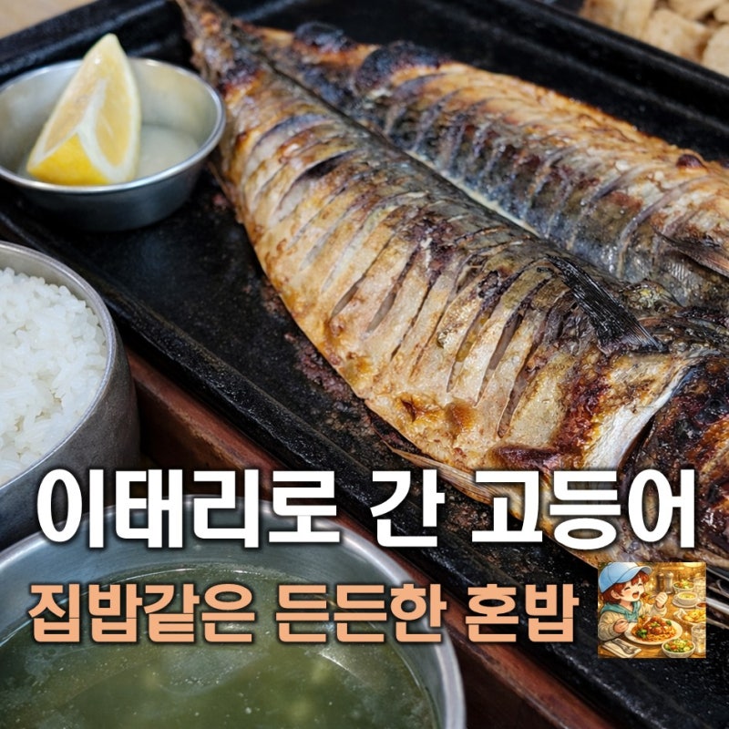 사진 9