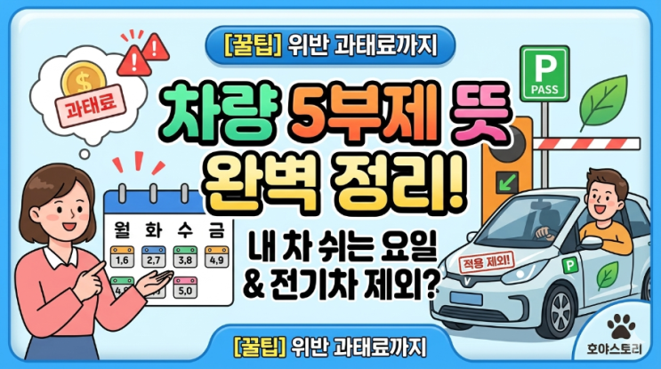 차량 5부제 뜻 완벽 정리! 내 차 쉬는 요일과 전기차 제외 여부 (feat. 위반 과태료)