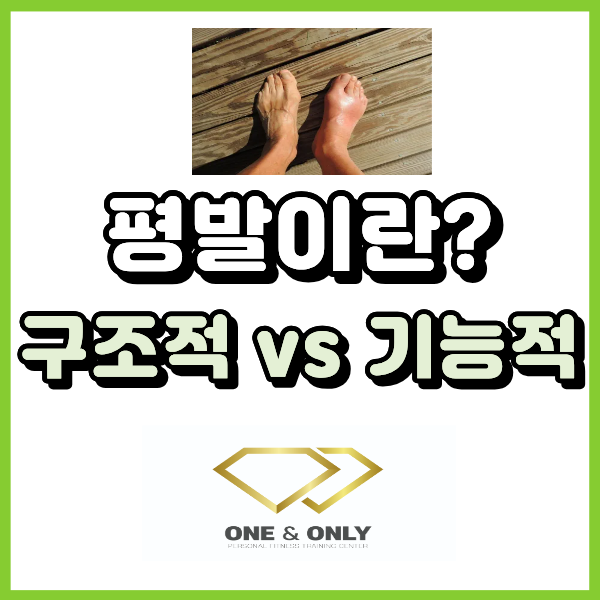  평발이란? 구조적 평발과 기능적 평발까지 정리해 볼게요.