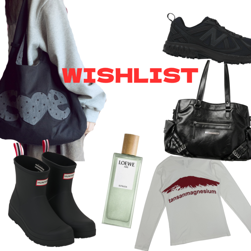 2026 상반기 wishlist [ 01 ] _ (뉴발란스, 로에베, 탄산마그네슘, 칙스, 헌터, 엠블러, 무신사)